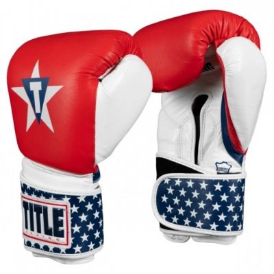 Боксерские перчатки TITLE USA Leather Bag Gloves(Р¤РѕС‚Рѕ 1)