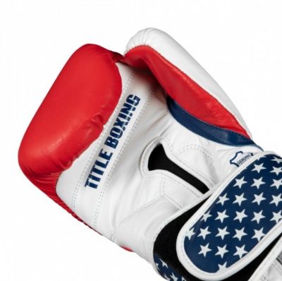 Боксерские перчатки TITLE USA Leather Bag Gloves(Р¤РѕС‚Рѕ 4)