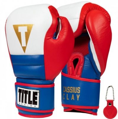 Боксерские перчатки ALI USA Training Gloves(Р¤РѕС‚Рѕ 1)