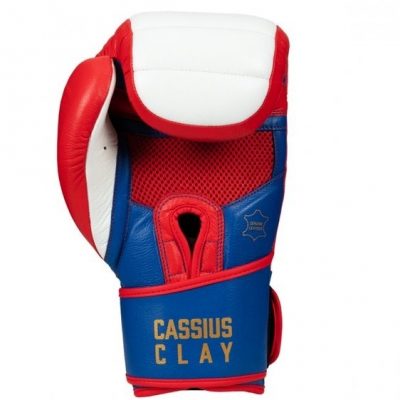 Боксерские перчатки ALI USA Training Gloves(Р¤РѕС‚Рѕ 3)