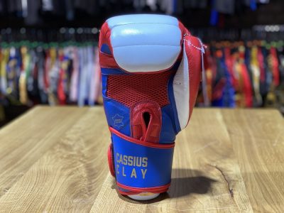 Боксерские перчатки ALI USA Training Gloves(Р¤РѕС‚Рѕ 12)