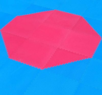 Корт (додянг) восьмиугольный для тхэквондо ВТФ синий/красный (Татами Eva-Line 100*100*2.6 см 144 шт)(Р¤РѕС‚Рѕ 4)