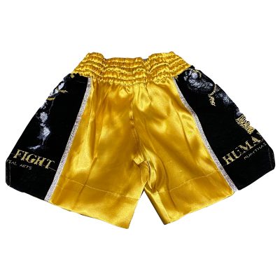 Шорты для тайского бокса Human Fight HF26 детские Золото/Серебро(Р¤РѕС‚Рѕ 2)