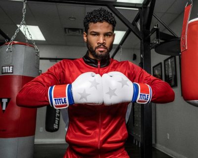 Перчатки боксерские TITLE Roberto Duran Limited Leather Bag Gloves(Р¤РѕС‚Рѕ 2)