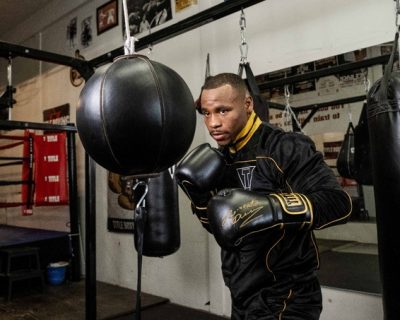 Перчатки боксерские TITLE Boxing Roberto Duran Leather Bag Gloves(Р¤РѕС‚Рѕ 2)