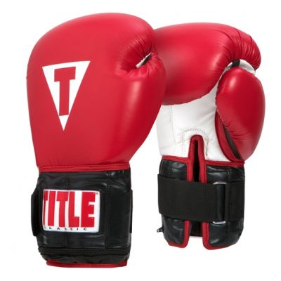 Перчатки боксерские с утяжелителями TITLE Classic Power Weight Bag Gloves(Р¤РѕС‚Рѕ 1)