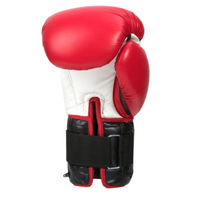 Перчатки боксерские с утяжелителями TITLE Classic Power Weight Bag Gloves(Р¤РѕС‚Рѕ 3)