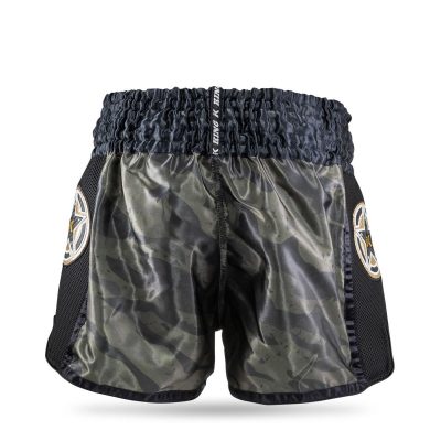 Шорты для Муай-Тай King Pro Boxing KPB pro star 1(Р¤РѕС‚Рѕ 5)