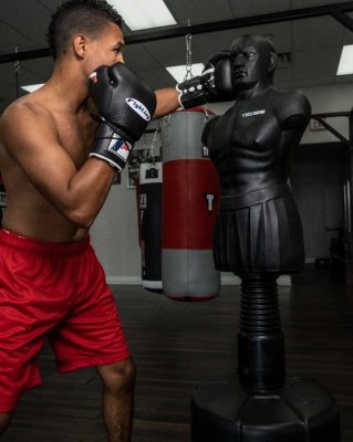 Перчатки боксерские Fighting Fearless Certified Pro Fight Gloves II(Р¤РѕС‚Рѕ 3)