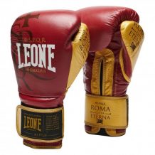 Замовити Боксерские перчатки LEONE 1947 GN503 кожа 
