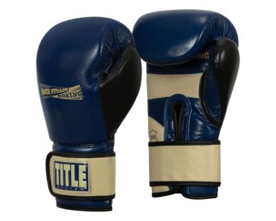Боксерские перчатки Title Boxing Rock Steady Leather Training Gloves RSBVLTTG(Р¤РѕС‚Рѕ 1)