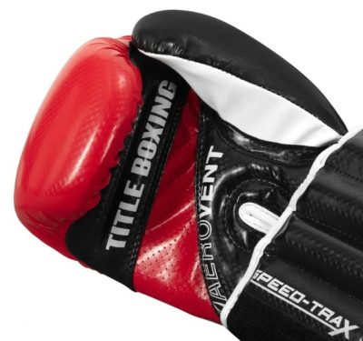 Боксерские перчатки с утяжелителями Title STWBG(Р¤РѕС‚Рѕ 2)