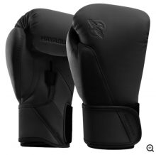 Замовити Hayabusa Перчатки боксерские T360 (цвета в ассортименте)