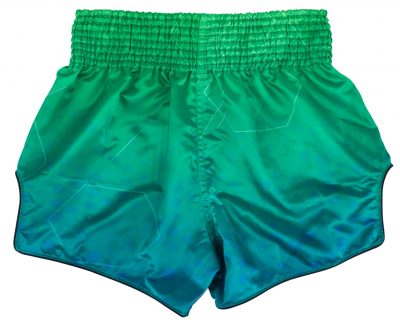 Шорты для тайского бокса Fairtex BS1953(Р¤РѕС‚Рѕ 2)