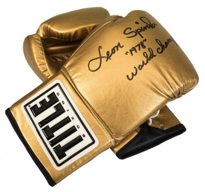 Перчатки боксерские Title Autograph Gloves для автографа AG2(Р¤РѕС‚Рѕ 1)