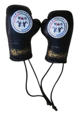 Брелок боксерские перчатки Dragon IFMA AC1347 (цвета в ассортименте)(Р¤РѕС‚Рѕ 1)