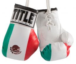 Замовити Брелок Боксерская перчатка маленький Title MINI BOXING 3.5 GLOVES MBG Mex