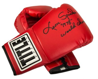 Перчатки боксерские Title Autograph Gloves для автографа AG2(Р¤РѕС‚Рѕ 2)