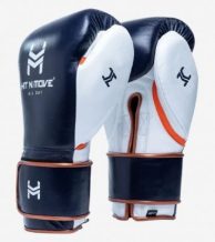 Замовити Боксерские перчатки Hit n move ALL DAY Pro Balance B (сине-белые)