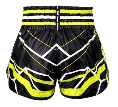Шорты (трусы) Twins THAI BOXING SHORTS TBS-RACING(Р¤РѕС‚Рѕ 2)