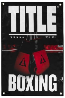 Банер Title Boxing Pro Fight (60см*91см) GB9(Р¤РѕС‚Рѕ 1)