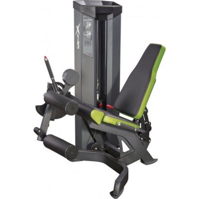 Тренажер для сгиб./разгиб. мышц бедра (комбинированный) Xline XR111(Р¤РѕС‚Рѕ 1)