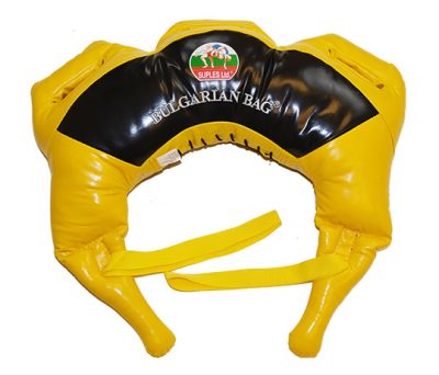 Болгарский мешок с модифицированными ручками (Винил 5 кг) XS (bulgarian bag-25)(Р¤РѕС‚Рѕ 1)